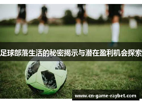 足球部落生活的秘密揭示与潜在盈利机会探索
