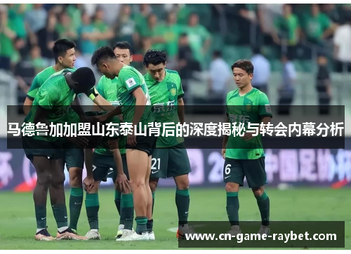 马德鲁加加盟山东泰山背后的深度揭秘与转会内幕分析 马德鲁加加盟山东泰山背后的深度揭秘与转会内幕分析